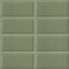 BISSEL-GREEN-OLIVE-10×20-MAINZU