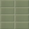 BISSEL-GREEN-OLIVE-10×20-MAINZU