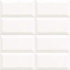 BISSEL_BLANCO_10x20