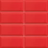 BISSEL_ROJO_10x20