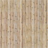 CREAM-BAMBOO-15×30-MAINZU